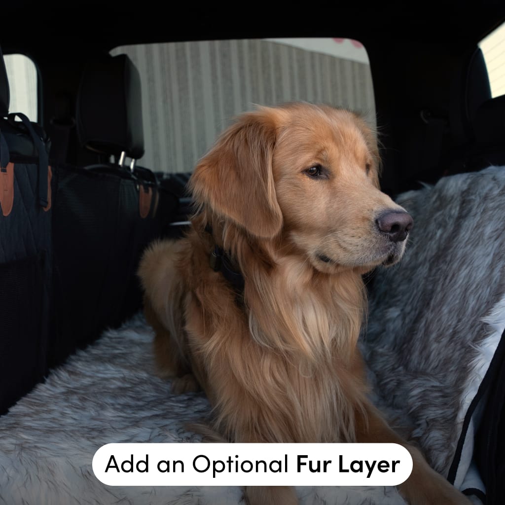 PetSuite Hard Bottom Dog Seat Protector