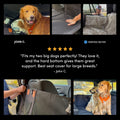 PetSuite Hard Bottom Dog Seat Protector